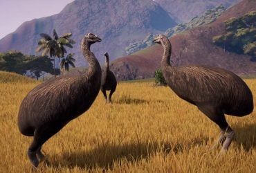 Тяжелее коровы и выше страуса: какая птица была крупнейшей в истории