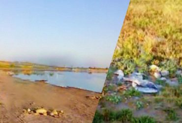 Андрющенко розказав про масовий мор риби у найбільшій водоймі окупованої Мелітопольщини