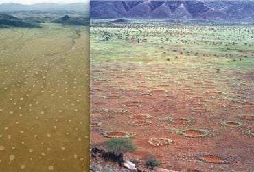 Загадочные круги фей могут указывать на месторождения природного водорода, - новое исследование