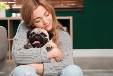 Какие собаки являются добрыми и нежными: ветеринары назвали 6 самых ласковых пород