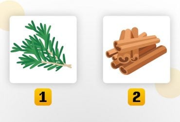 В этой сфере жизни пора навести порядок: тест на скрытую проблему