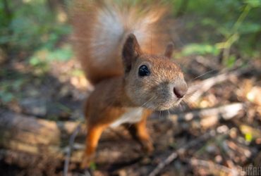 10 вересня погода в Києві покращиться