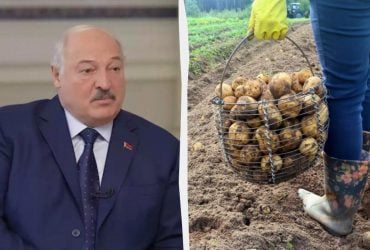 Боятся повторить судьбу Лукашенко: в стране экс-СССР картофель поддержат на уровне государства