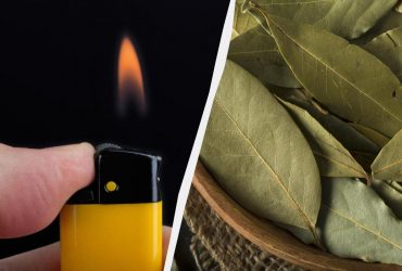 Мудрі люди палять лаврове листя у вересні: навіщо потрібен стародавній східний ритуал