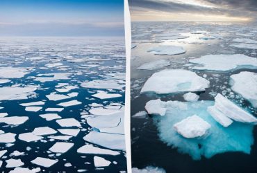 Ученые провели 45 дней в отдаленной Арктике и обнаружили живое нечто подо льдом