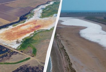 Вместо воды - соль: на юге Одесской области зафиксированы последствия разбалансировки климата