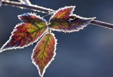 Уже скоро в Украине возможен снег, - синоптик Диденко
