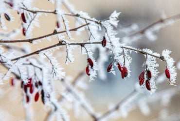 Холод из Арктики идет в Украину: синоптик рассказал, когда ударят морозы (карта)