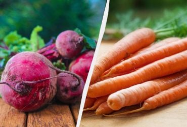 Морковь и свекла будут долго храниться и останутся сочными: в какое время их убирать