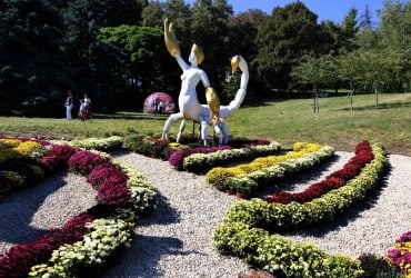У Києві стартував традиційний фестиваль хризантем