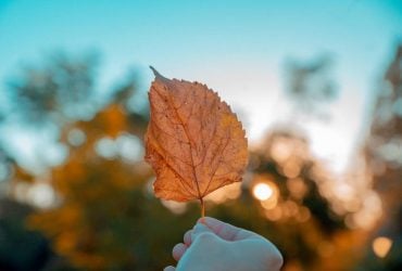 Синоптикиня Діденко назвала точні дати, коли в Україні буде тепло