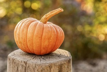 Перед выходными дожди покинут Украину и даже станет теплее