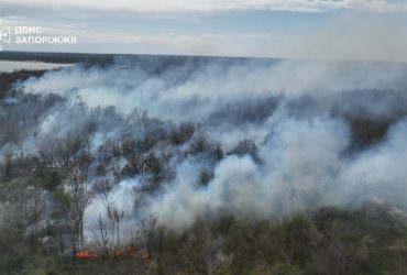 На Хортиці вирує масштабна пожежа (фото)