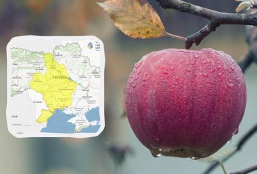 Укргідрометцентр попереджає про небезпеку: негода накриє 5 областей (список)