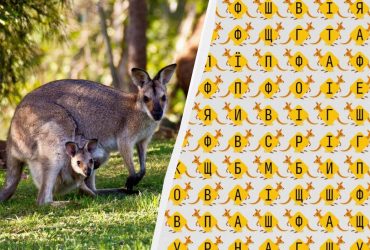 Невозможная головоломка для самых умных: нужно найти слово кенгуру за 10 секунд