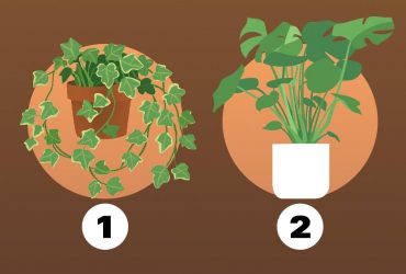 Чи вмієте ви визнавати свої помилки: тест на особистість за 1 хвилину