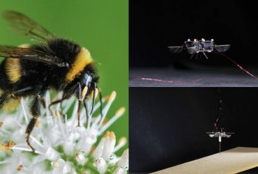 В США разработали робота-шмеля, который может летать даже на Марсе