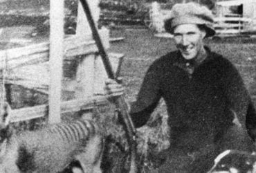 Биолог рассказал о хищнике, который исчез с лица Земли навсегда