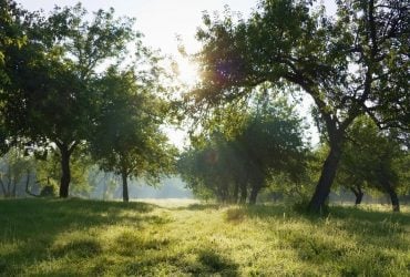 Археологи визначили місце, де дійсно був Едем, але є нюанс