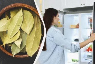 Один лавровий лист у холодильник, другий - під нього: головна проблема на кухні буде вирішена