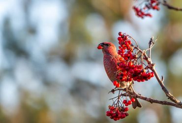 До України йде довгоочікуване потепління, - синоптикиня Діденко