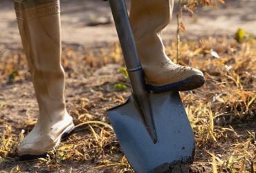 Потрібно перекопувати город восени чи ні: у чому головна помилка дачників