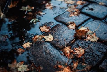 В понедельник часть Украины зальют дожди: синоптик рассказала, где будет мокро