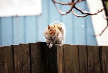 18 ноября в Украину ворвется сильное похолодание: температура упадет до +2°...+4°