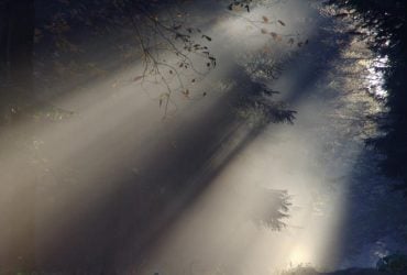 У Харкові зранку оголосили І рівень небезпеки: що буде (інфографіка)