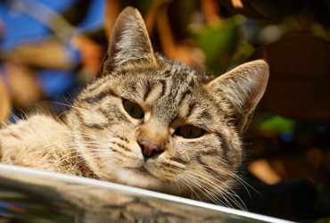 Синоптик сообщила, когда в Украине наконец-то может потеплеть