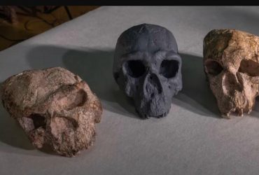 Стародавній череп з Китаю кардинально міняє історію еволюції людини, - дослідження