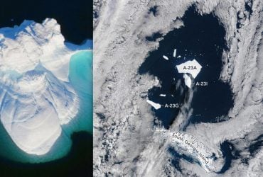 Спутниковые снимки показывают, что самый известный айсберг Антарктиды неизбежно погибнет