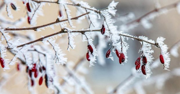 до України йде похолодання, названо точну дату