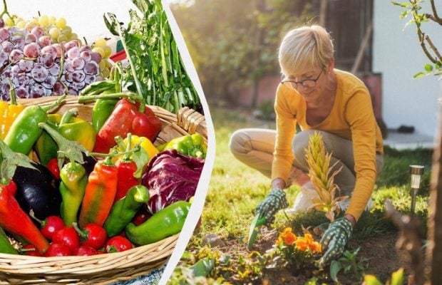 Сажать растения в сентябре нужно только в эти даты: точный календарь дачника