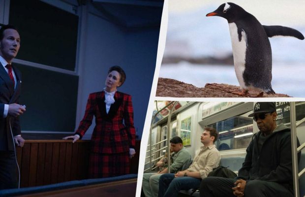 "Заклятие 4", "Антарктида" и "Высокое и низкое": главные кинопремьеры недели