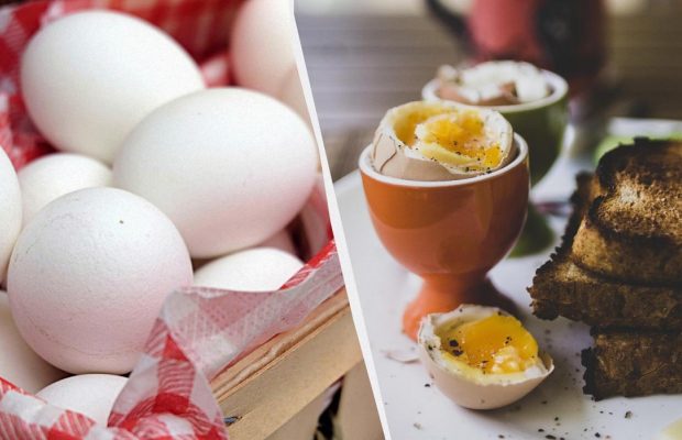 Шеф-повар назвал точное время варки идеальных "кремовых" яиц: ни секундой больше