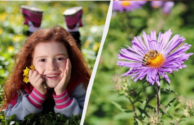 Что нужно сделать дома для благополучия: важная примета в праздник 9 сентября