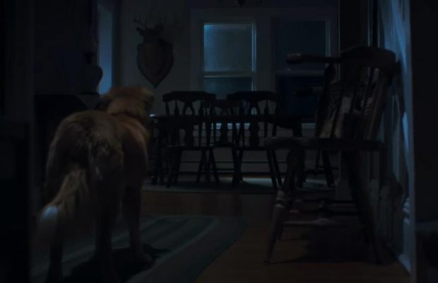 Вийшов трейлер горор-сенсації "Хороший хлопчик": фільм знято з точки зору собаки