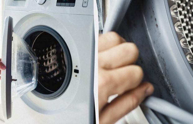 Заметили плесень в стиральной машине? Этот секретный трюк поможет от нее избавиться