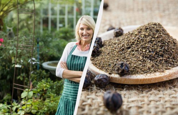 Зачем садоводы посыпают грядки черным перцем: это нужно делать именно в сентябре