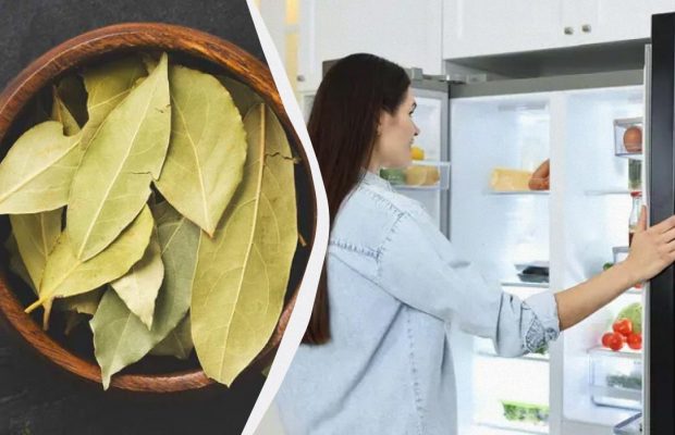 Один лавровый лист в холодильник, второй - под него: главная проблема на кухне будет решена