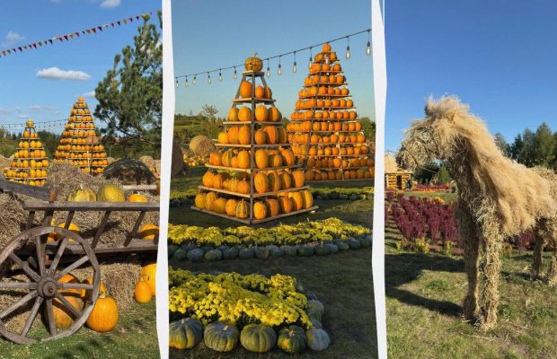 В "Добропарке" под Киевом появилась грандиозная тыквенная локация (фото, видео)
