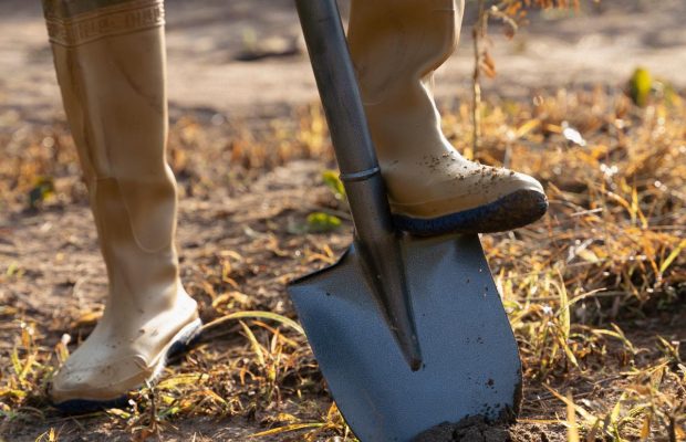 Потрібно перекопувати город восени чи ні: у чому головна помилка дачників