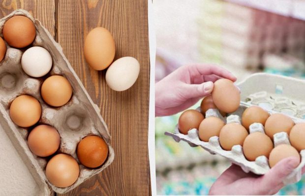 Только один вид яиц надо держать в холодильнике: простое правило хранения