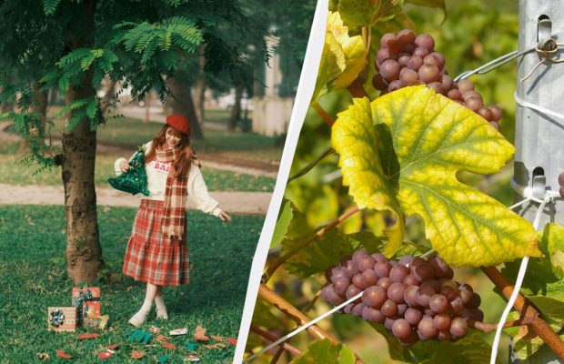 День вихователя та ще 4 свята відзначає Україна: кого привітати 27 вересня