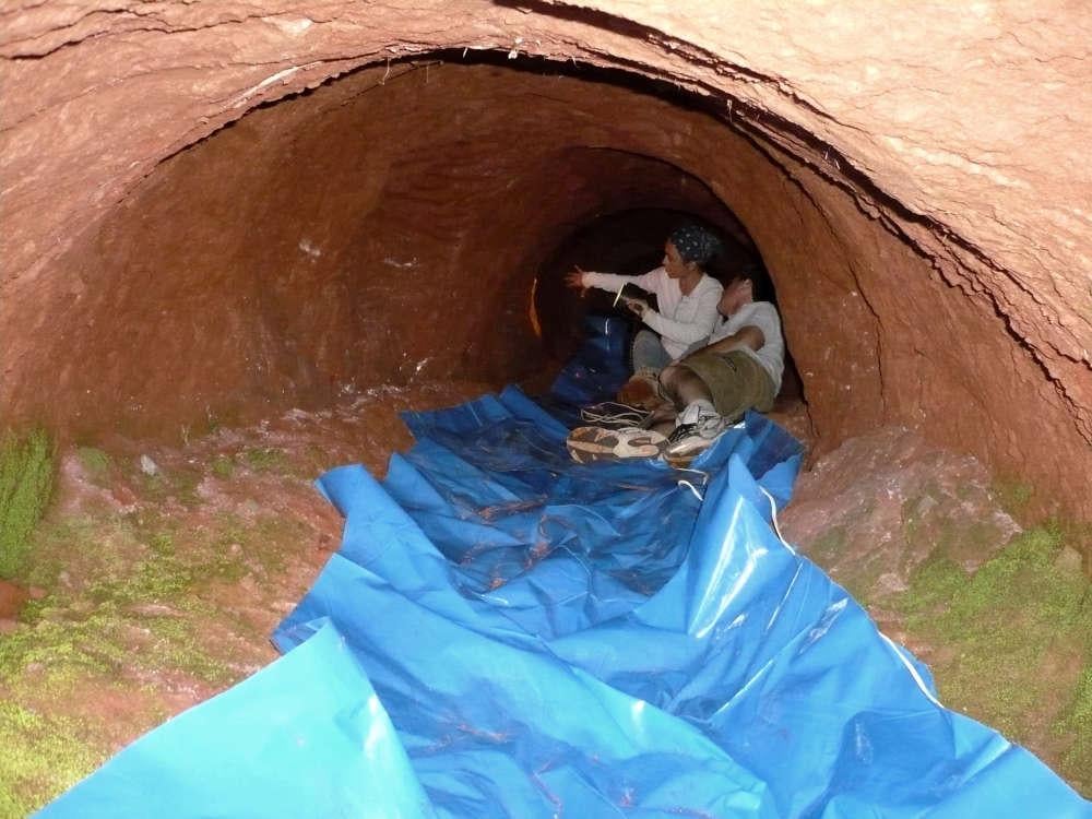 / фото Генріха Франка / фото Генріха Франка