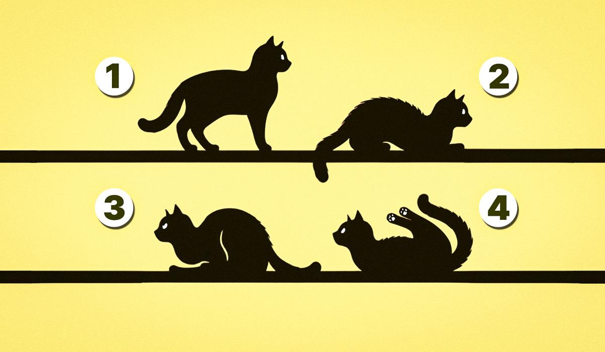 тест на черты характера тест на черты характера