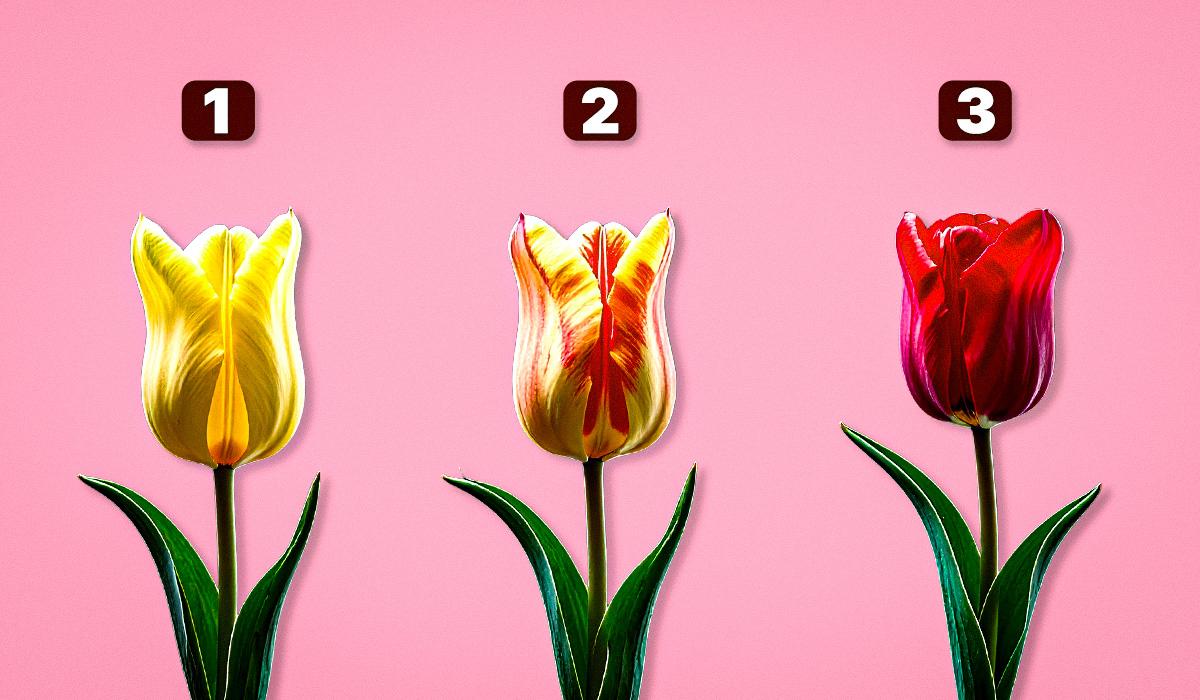 тест на риси характеру