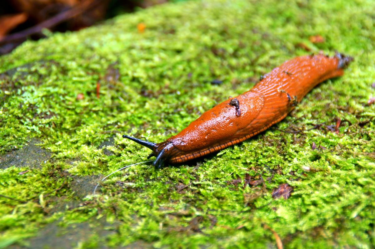 фото ua.depositphotos.com фото ua.depositphotos.com