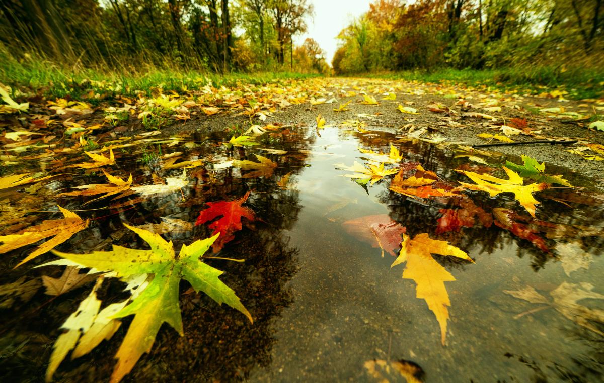 Приметы на сегодня